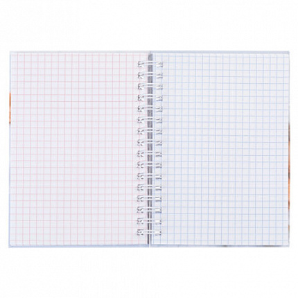 Блокнот МАЛЫЙ ФОРМАТ А6, 80 л., гребень, твердый картон, клетка 2 цв., HATBER, "Нежный флёр", 082839, 80ЗКтд6В1гр_300