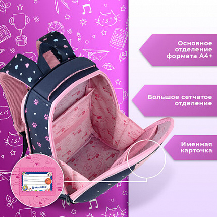 Ранец BRAUBERG KIDS START, 1 отделение, 2 кармана, "Четыре котика", 35х26х13 см, 273150