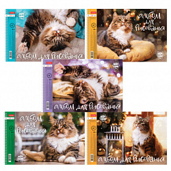 Альбом для рисования А4 24 л., спираль, обложка картон, HATBER, 198х300 мм, "Кот Борис" (5 видов), 079771, 24А4Всп