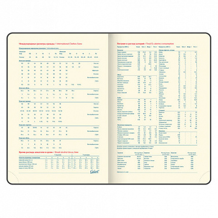 Ежедневник недатированный А5 (148х218 мм) GALANT "Magnetic", кожзам, магнитный клапан, 160 л., черный, 126272