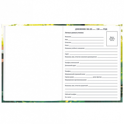 Дневник 1-11 класс 40 л., твердый, BRAUBERG, глянцевая ламинация, "Девочка и кот", 107166