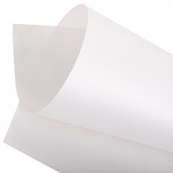 Бумага для творчества и упаковки, газетная, рулон 840 мм х 150 м, 45 г/м2, BRAUBERG, 665566