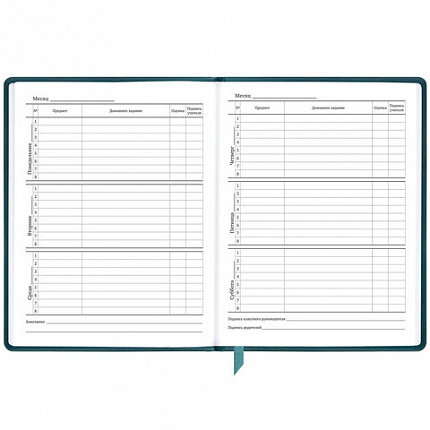 Дневник 1-11 класс 48 л., кожзам (твердая), печать, резинка, конверт, BRAUBERG, "Bright Lion", 106577