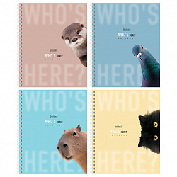 Тетрадь А5 48 л. HATBER гребень, клетка, Soft-touch ламинация, "Кто здесь?" (микс в спайке), 48Т5лВ1гр