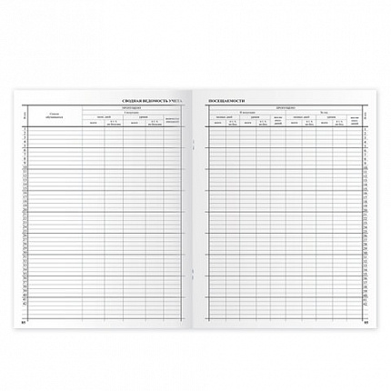 Классный журнал BRAUBERG 5-11 кл. (универсальный), А4 200х290 мм, твердая ламинированная обложка, офсет, 125686