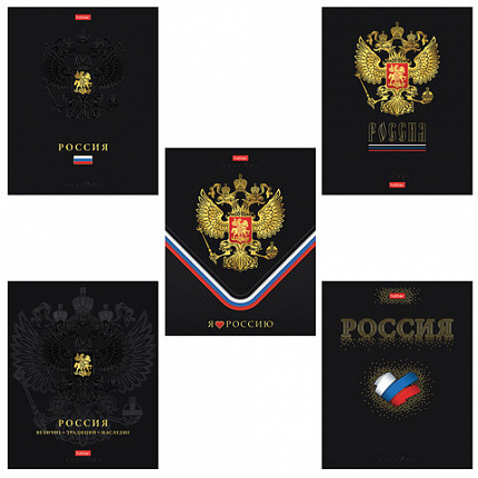 Тетрадь А5 48 л., HATBER, скоба, клетка, матовая ламинация, 3D-фольга, 3D-лак, Россия (микс), 093210, 48Т5лофлВ1