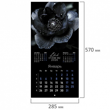 Календарь настенный перекидной 2026г, BRAUBERG, 12 листов, 28,5х28,5см, Black esthetic, 116927