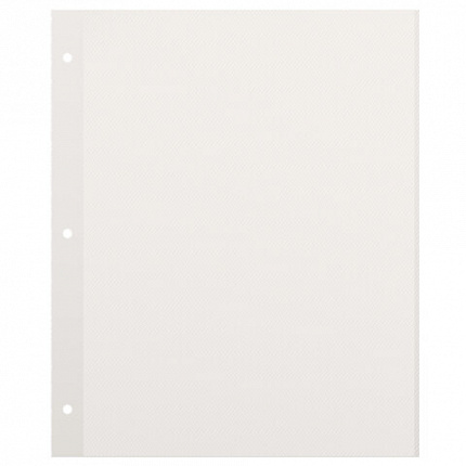 Листы для фотоальбома магнитные 23*28 см, КОМПЛЕКТ 10 штук, BRAUBERG, 391312