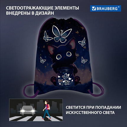 Мешок для обуви BRAUBERG PREMIUM, карман, подкладка, светоотражайка, 43х33 см, "Кот с бабочками", 273442