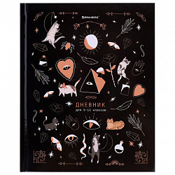 Дневник 5-11 класс 48 л., твердый, BRAUBERG, глянцевая ламинация, с подсказом, "Astro cats", 106868