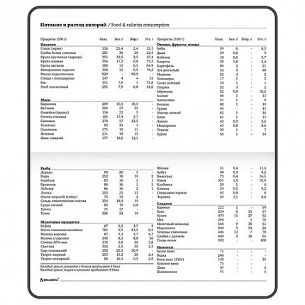Еженедельник недатированный с резинкой 171х93 мм, BRAUBERG, твердый, 64 л., "Minimal", голубой, 116313