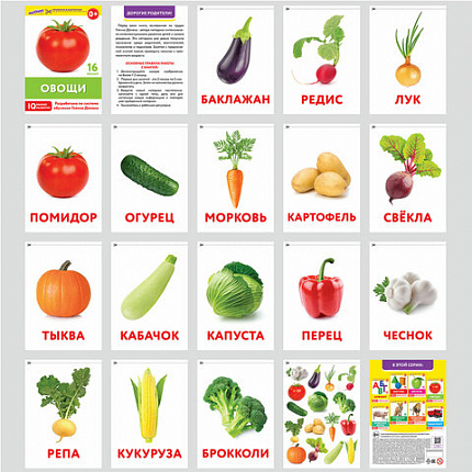 Карточки Домана, 8 развивающих брошюр по методике ГЛЕННА ДОМАНА, 145 изображений, ЮНЛАНДИЯ, 691022