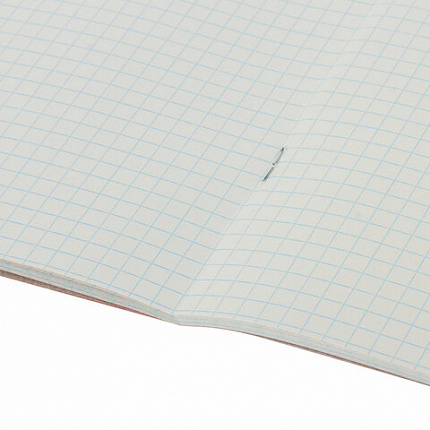 Тетрадь А5, 48 л., HATBER-ECO скоба, офсет №2 ЭКОНОМ, клетка, обложка мелованная бумага, "Голубая", 075742, 48Т5D1_27730