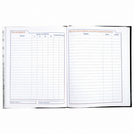 Дневник для музыкальной школы твердый, 48 л., HATBER "Клавиши", 039820, 48ДТмз5В_14210