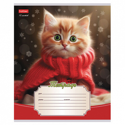 Тетрадь 12л. HATBER линия, обложка картон, Уютные котики (микс в спайке), 12Т5В2
