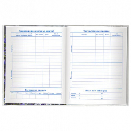 Обложка ПЭ 210х350 мм для тетрадей и дневников, ПИФАГОР, 60 мкм, 229369