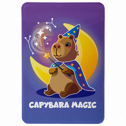 Обложка-карман для карт и пропусков "Cool Mix", 100х65 мм, 10 дизайнов ассорти, ПВХ, STAFF, 238336