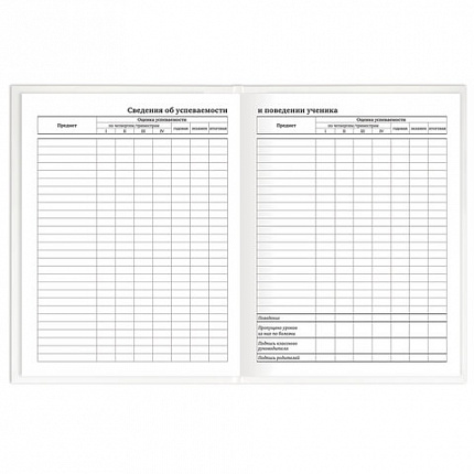 Дневник 1-11 класс 40 л., твердый, BRAUBERG, матовая ламинация, БЕЛЫЙ, 105540