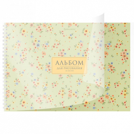 Альбом для рисования, пластиковая обложка, А4 40 л., гребень, BRAUBERG, 210х297мм, АССОРТИ-2 (8 видов), 107683