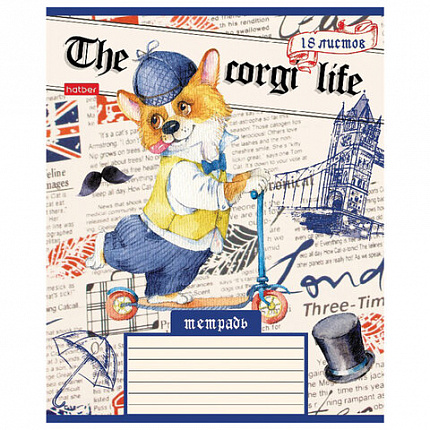 Тетрадь 18 л. HATBER клетка, обложка картон, "Корги_LIFE" (5 видов в спайке), 18Т5В1