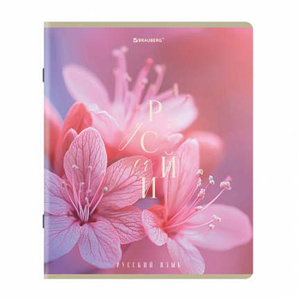 Тетради предметные, КОМПЛЕКТ 12 ПРЕДМЕТОВ 48л, пластиковая обложка, BRAUBERG "PURE NATURE", 405543