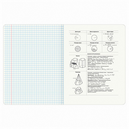Тетрадь предметная "КОТ-ЭНТУЗИАСТ" 48 л., TWIN-лак, ГЕОМЕТРИЯ, клетка, подсказ, BRAUBERG, 404561