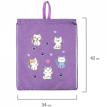 Мешок для обуви BRAUBERG KIDS, с петлей, 42х34 см, "Игривые котята", 272413