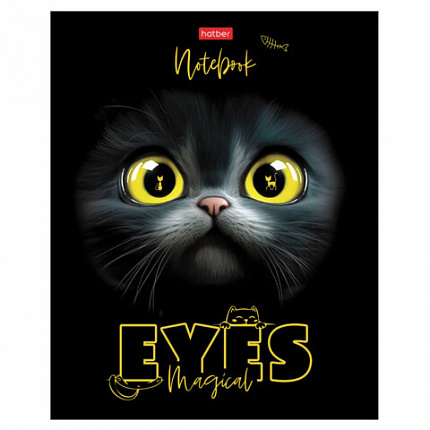 Тетрадь А5 48 л., HATBER скоба, клетка, матовая ламинация, 3D-лак, "Волшебные глаза" (микс), 088313, 48Т5лолВ1