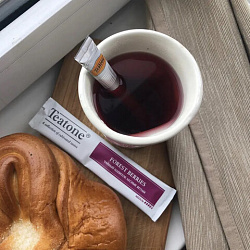 Чай TEATONE "Forest berries" фруктовый со вкусом лесных ягод, 100 стиков по 2 г, 1257