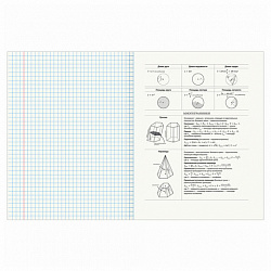 Тетрадь предметная "КЛАССИКА NATURE" 48 л., обложка картон, ГЕОМЕТРИЯ, клетка, BRAUBERG, 404585