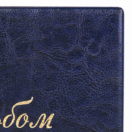 Альбом для монет и купюр на винтах универсальный, 224х224 мм, на 216 монет до D-45 мм, выдвижные карманы, синий, "ДПС", 2855-201