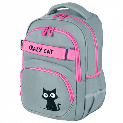 Рюкзак BRAUBERG MOTION, 2 отделения, 3 кармана, "Crazy cat", 41х28х17 см, 273115
