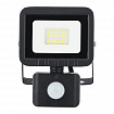 Прожектор светодиодный ЭРА, датчик движения, 20(175) Вт, 6500К, 1600 Лм, IP65, черный, LPR-041-2-65K-020, Б0043585