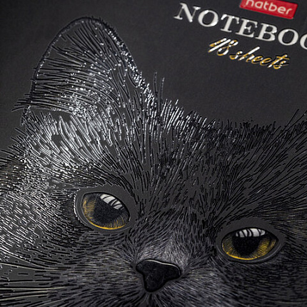 Тетрадь А5, 48 л., HATBER, скоба, клетка, матовая ламинация, 3D-лак, "Black Cat" (микс в спайке), 093159, 48Т5лолВ1