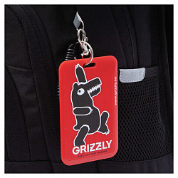 Рюкзак GRIZZLY школьный, анатомическая спинка, 2 отделения, для мальчиков, "YOUR ROUTE", 25х40х22 см, RB-550-1/2