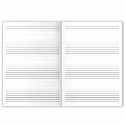 Классный журнал BRAUBERG 1-4 кл., А4, 200х290 мм, твердая ламинированная обложка, офсет, 125140