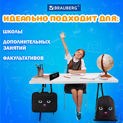 Папка на молнии с ручками А4, мешок для обуви 42х33 см, пенал 20х10 см, "Черный кот", НАБОР BRAUBERG, 271434