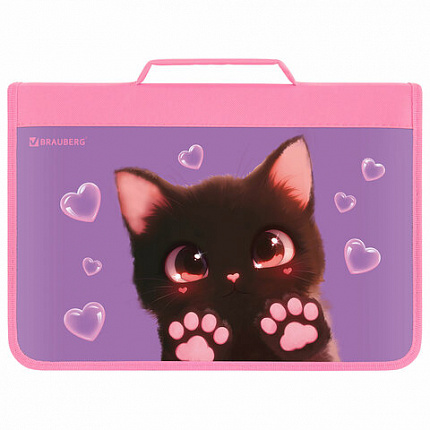 Папка на молнии BRAUBERG А4 с ручкой, с органайзером, 1 отделение, "Paw prints", 273383