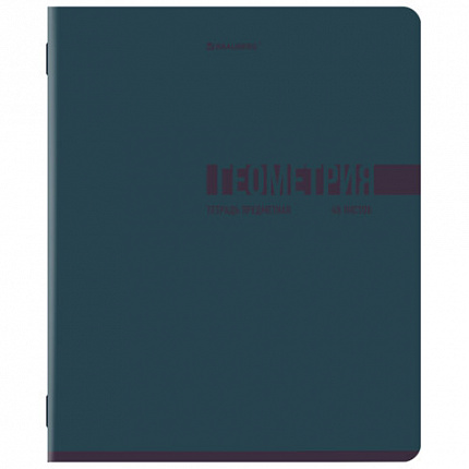 Тетради предметные, КОМПЛЕКТ 12 ПРЕДМЕТОВ, 48 л., обложка картон, BRAUBERG "VIBE", 405163