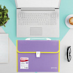 Папка-портфель пластиковая BRAUBERG "JOY", А4 (330х245х35 мм), 13 отделений, с окантовкой, фиолетовая, 227977
