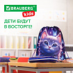 Мешок для обуви BRAUBERG KIDS, с петлей, 42х34 см, "Любознательный кот", 273434
