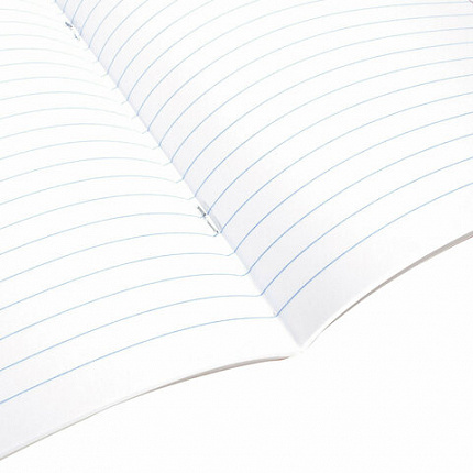 Тетрадь 24 л. BRAUBERG линия, обложка картон, "ЗАБАВНЫЕ ЩЕНКИ", 403585