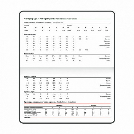 Еженедельник недатированный МАЛЫЙ ФОРМАТ 95х155 мм А6 BRAUBERG "Rainbow", под кожу, 64 л., черный, 114485