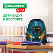 Мешок для обуви BRAUBERG KIDS, с петлей, 42х34 см, "Дино-погоня", 272416