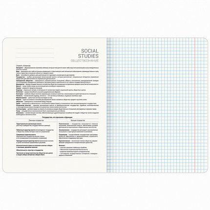 Тетрадь предметная VINTAGE 48 л., SoftTouch, ОБЩЕСТВОЗНАНИЕ, клетка, подсказ, BRAUBERG, 405149