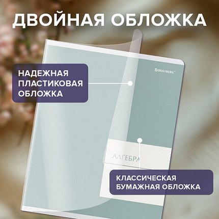 Тетради предметные, КОМПЛЕКТ 12 ПРЕДМЕТОВ 48 л., пластиковая обложка, BRAUBERG "MonoPastel", 405540
