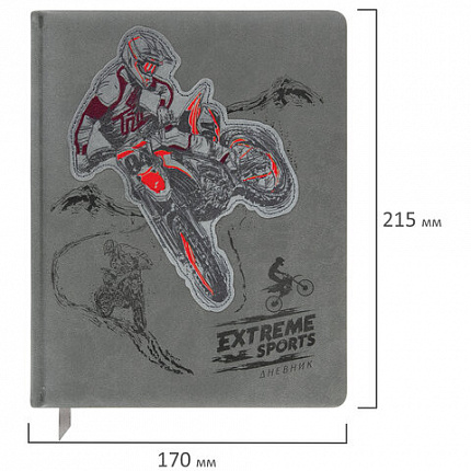 Дневник 1-11 класс 48 л., кожзам (твердая с поролоном), тиснение, аппликация, BRAUBERG, "Extreme", 106569