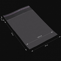 Пакет БОПП с клеевым клапаном, КОМПЛЕКТ 100 шт., 20х25+4 см, толщина 30 мкм, с усиленным швом