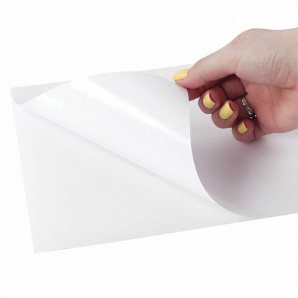 Этикетка самоклеящаяся ГЛЯНЦЕВАЯ 210х297 мм, 1 этикетка, белая, 80 г/м2, 100 листов, TANEX, сырье Финляндия, 114547, TW-2000