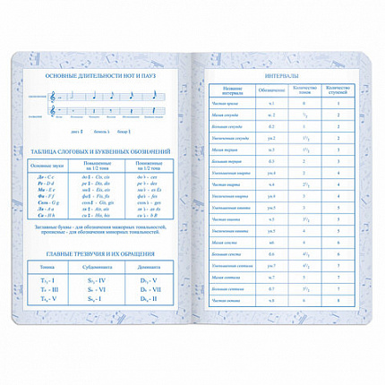 Дневник для музыкальной школы 140х210 мм, 48 л., обложка кожзам твердая, фольга, BRAUBERG, справочный материал, темно-синий, 105500